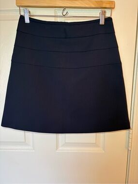 Zara Black A-Line Mini Skirt with Panel Detailing